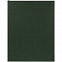 Ежедневник Flat Maxi, недатированный, зеленый с логотипом в Санкт-Петербурге заказать по выгодной цене в кибермаркете AvroraStore