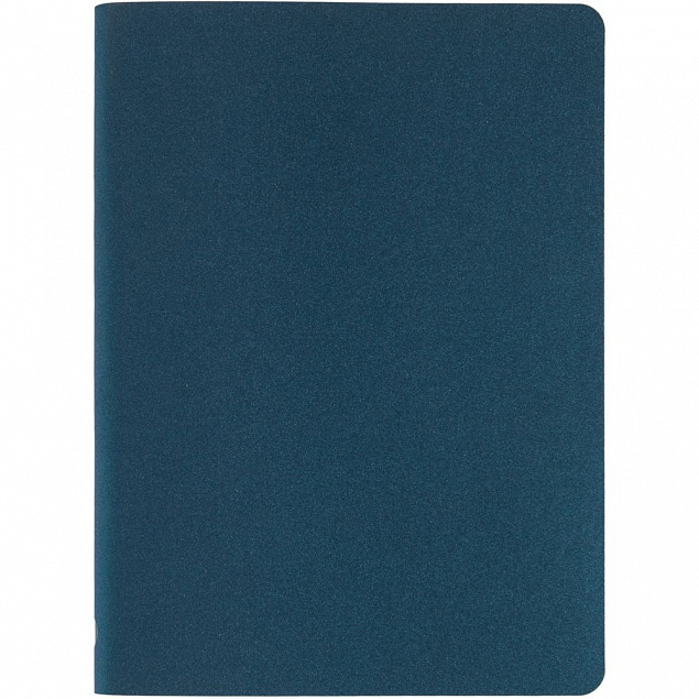 Ежедневник «Идеальное планирование», синий с логотипом в Санкт-Петербурге заказать по выгодной цене в кибермаркете AvroraStore