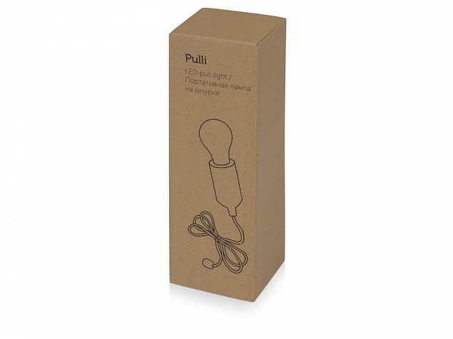 Портативная лампа на шнурке Pulli с логотипом в Санкт-Петербурге заказать по выгодной цене в кибермаркете AvroraStore