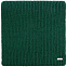 Шарф Tommi, зеленый с логотипом в Санкт-Петербурге заказать по выгодной цене в кибермаркете AvroraStore