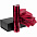 Набор Gems: зонт и термос, красный с логотипом в Санкт-Петербурге заказать по выгодной цене в кибермаркете AvroraStore