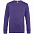 Свитшот унисекс King, фиолетовый с логотипом в Санкт-Петербурге заказать по выгодной цене в кибермаркете AvroraStore