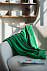 Плед Plush, зеленый с логотипом в Санкт-Петербурге заказать по выгодной цене в кибермаркете AvroraStore