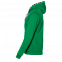 Толстовка мужская 17 Зелёный с логотипом в Санкт-Петербурге заказать по выгодной цене в кибермаркете AvroraStore