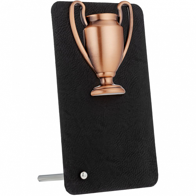 Награда Triumph Bronze с логотипом в Санкт-Петербурге заказать по выгодной цене в кибермаркете AvroraStore