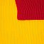 Шарф Snappy, желтый с красным с логотипом в Санкт-Петербурге заказать по выгодной цене в кибермаркете AvroraStore