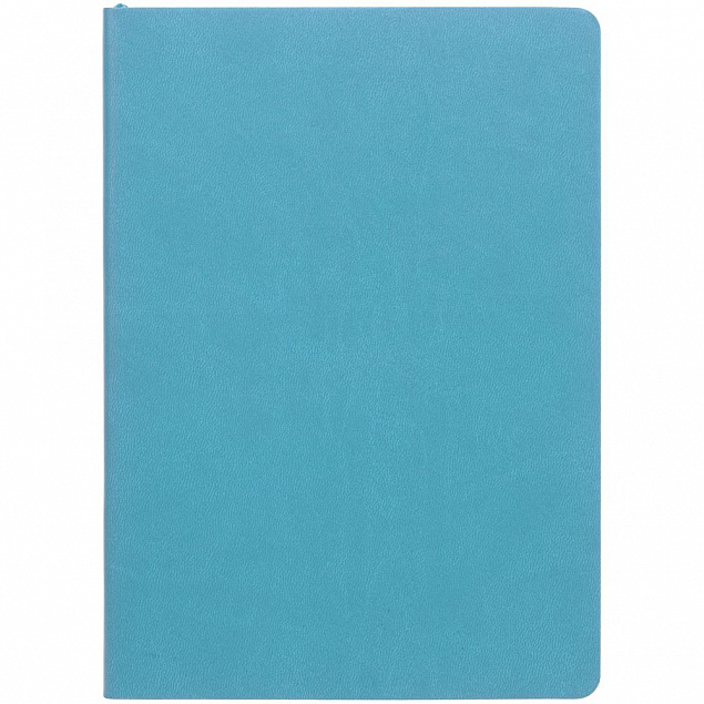 Ежедневник Fredo, недатированный, голубой с логотипом в Санкт-Петербурге заказать по выгодной цене в кибермаркете AvroraStore