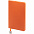Ежедневник Shall Light, недатированный, оранжевый с логотипом в Санкт-Петербурге заказать по выгодной цене в кибермаркете AvroraStore