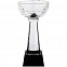 Кубок Cupture, малый с логотипом в Санкт-Петербурге заказать по выгодной цене в кибермаркете AvroraStore