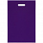 Чехол для пропуска Shall, фиолетовый с логотипом в Санкт-Петербурге заказать по выгодной цене в кибермаркете AvroraStore