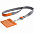 Чехол для карточки с лентой и ретрактором Devon, оранжевый с логотипом в Санкт-Петербурге заказать по выгодной цене в кибермаркете AvroraStore