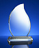 Награда Phoenix с логотипом в Санкт-Петербурге заказать по выгодной цене в кибермаркете AvroraStore