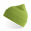 Шапка NELSON в рубчик с отворотом,100%  органический хлопок, зеленое яблоко с логотипом в Санкт-Петербурге заказать по выгодной цене в кибермаркете AvroraStore