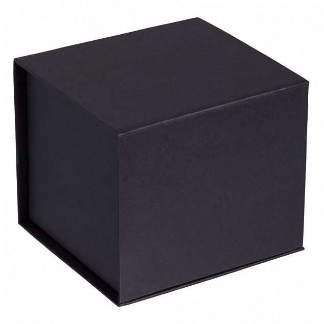 Коробка Alian, черная с логотипом в Санкт-Петербурге заказать по выгодной цене в кибермаркете AvroraStore