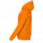 Толстовка мужская 61 Оранжевый с логотипом в Санкт-Петербурге заказать по выгодной цене в кибермаркете AvroraStore