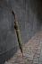 Зонт VINGA Bosler из rPET AWARE™, d106 см с логотипом в Санкт-Петербурге заказать по выгодной цене в кибермаркете AvroraStore