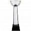 Кубок Cupture, большой с логотипом в Санкт-Петербурге заказать по выгодной цене в кибермаркете AvroraStore