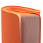 Ежедневник Shall Light, недатированный, оранжевый с логотипом в Санкт-Петербурге заказать по выгодной цене в кибермаркете AvroraStore