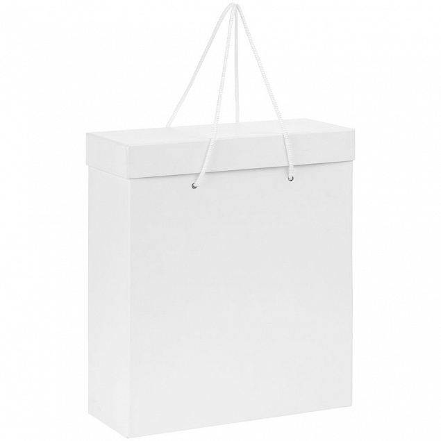 Коробка Handgrip, большая, белая с логотипом в Санкт-Петербурге заказать по выгодной цене в кибермаркете AvroraStore