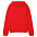 Худи унисекс Phoenix, красное с логотипом в Санкт-Петербурге заказать по выгодной цене в кибермаркете AvroraStore