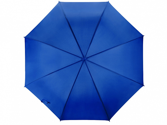 Зонт-трость полуавтоматический с пластиковой ручкой с логотипом в Санкт-Петербурге заказать по выгодной цене в кибермаркете AvroraStore
