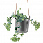 Горшок с функцией самополива Flowerpot, подвесной, серый с логотипом в Санкт-Петербурге заказать по выгодной цене в кибермаркете AvroraStore