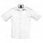 Рубашка мужская BRISTOL 105 с логотипом в Санкт-Петербурге заказать по выгодной цене в кибермаркете AvroraStore
