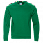 Толстовка StanSweatshirt Зелёный с логотипом в Санкт-Петербурге заказать по выгодной цене в кибермаркете AvroraStore