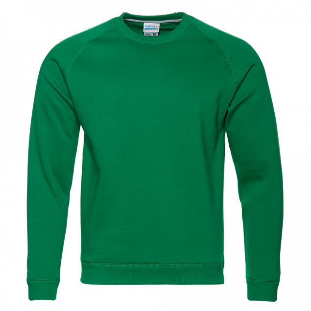Толстовка StanSweatshirt Зелёный с логотипом в Санкт-Петербурге заказать по выгодной цене в кибермаркете AvroraStore