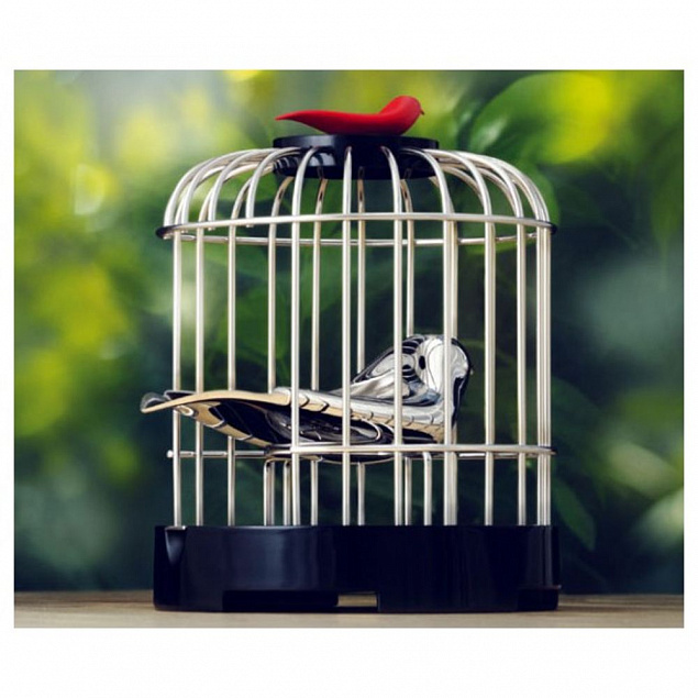 Музыкальный заварочный набор «Певчая птичка» с логотипом в Санкт-Петербурге заказать по выгодной цене в кибермаркете AvroraStore