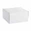 Коробка Piccolo, белая с логотипом в Санкт-Петербурге заказать по выгодной цене в кибермаркете AvroraStore