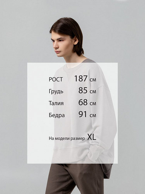 Свитшот Kosmos, серый с логотипом в Санкт-Петербурге заказать по выгодной цене в кибермаркете AvroraStore