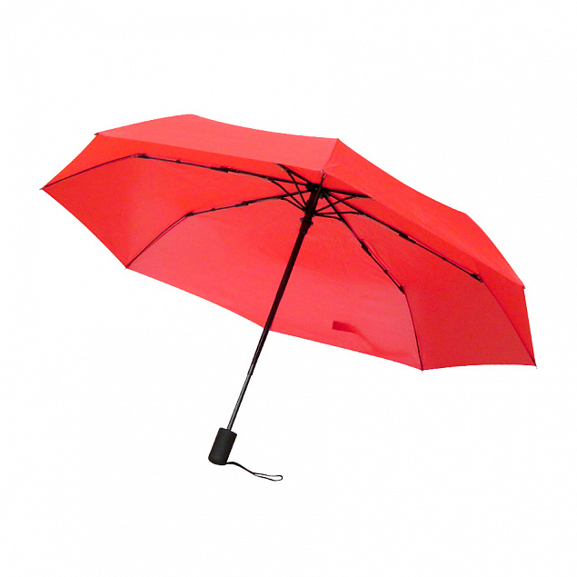 Подарочный набор Rainy, (красный) с логотипом в Санкт-Петербурге заказать по выгодной цене в кибермаркете AvroraStore