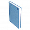 Недатированный ежедневник RIGEL 650U (5451) 145x205 мм голубой, календарь до 2019 г. с логотипом в Санкт-Петербурге заказать по выгодной цене в кибермаркете AvroraStore