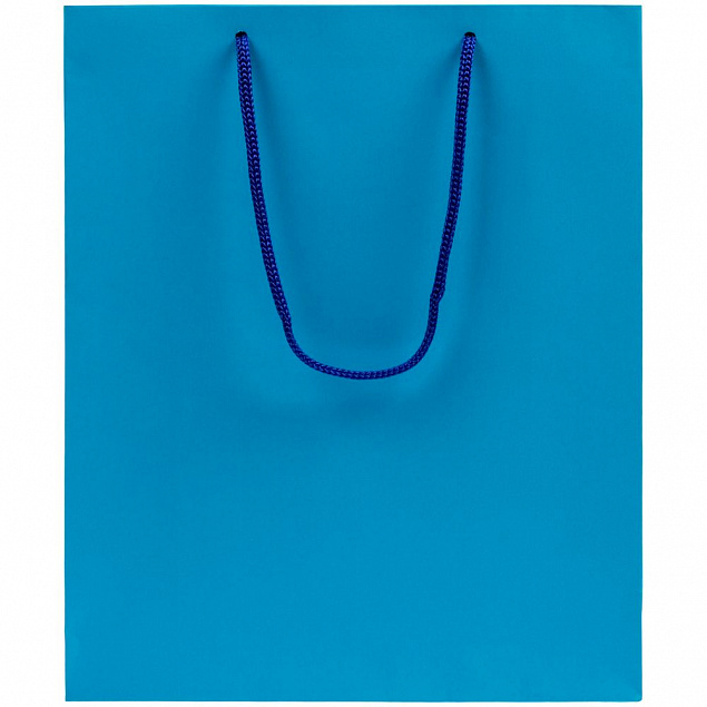 Пакет Wide, Голубой с логотипом в Санкт-Петербурге заказать по выгодной цене в кибермаркете AvroraStore