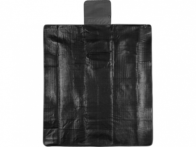 Плед для пикника Module, черный с логотипом в Санкт-Петербурге заказать по выгодной цене в кибермаркете AvroraStore
