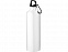 Бутылка для воды с карабином «Oregon», 770 мл с логотипом в Санкт-Петербурге заказать по выгодной цене в кибермаркете AvroraStore