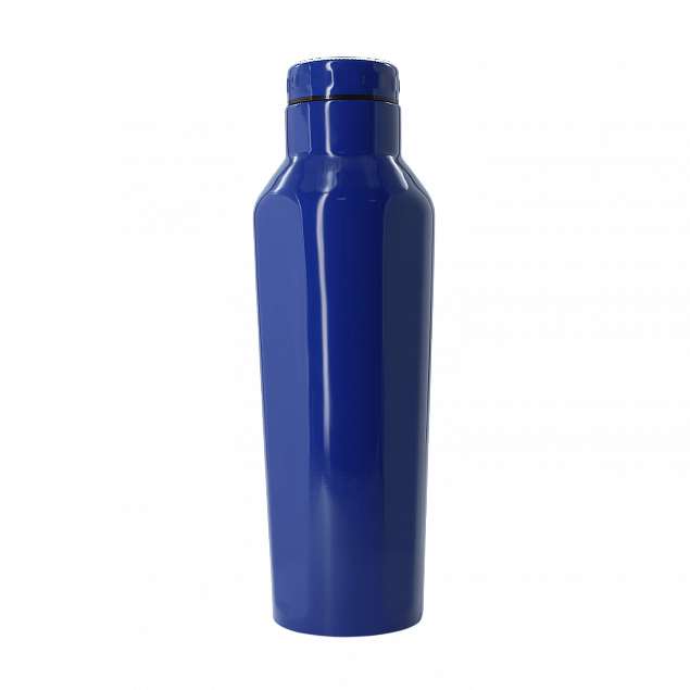 Термобутылка для напитков E-shape с логотипом в Санкт-Петербурге заказать по выгодной цене в кибермаркете AvroraStore