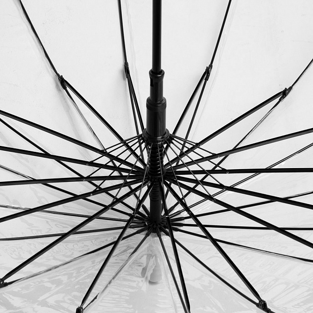 Прозрачный зонт-трость Clear 16 с логотипом в Санкт-Петербурге заказать по выгодной цене в кибермаркете AvroraStore