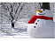 Набор аксессуаров для снеговика с логотипом в Санкт-Петербурге заказать по выгодной цене в кибермаркете AvroraStore