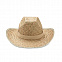 Ковбойская шляпа из натуральной с логотипом в Санкт-Петербурге заказать по выгодной цене в кибермаркете AvroraStore