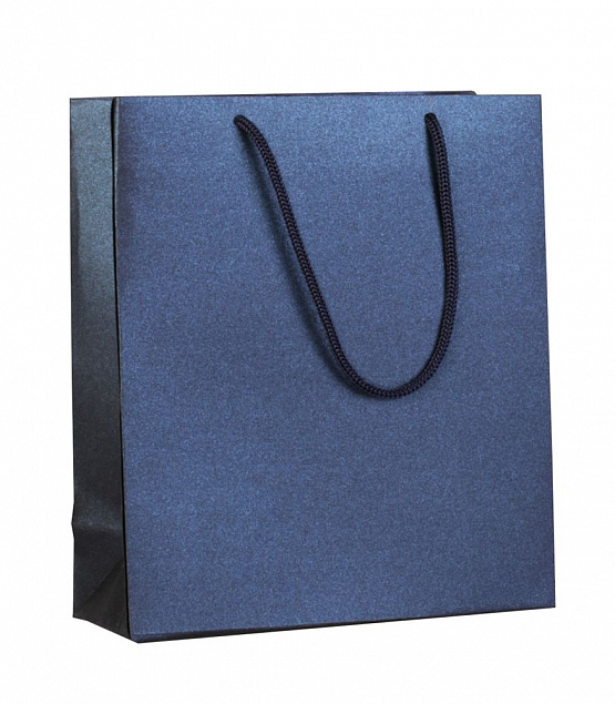 Пакет бумажный «Блеск», малый, синий с логотипом в Санкт-Петербурге заказать по выгодной цене в кибермаркете AvroraStore