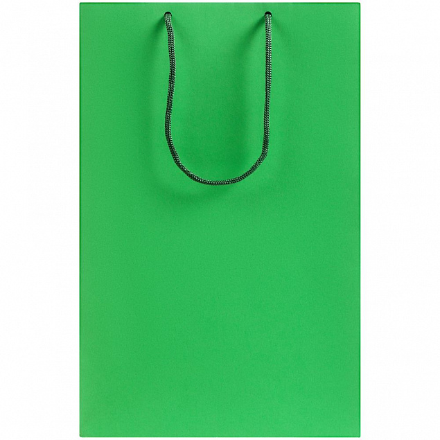 Пакет бумажный Porta M, зеленый с логотипом в Санкт-Петербурге заказать по выгодной цене в кибермаркете AvroraStore