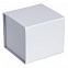Коробка Alian, белая с логотипом в Санкт-Петербурге заказать по выгодной цене в кибермаркете AvroraStore