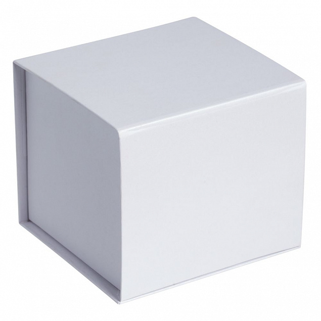 Коробка Alian, белая с логотипом в Санкт-Петербурге заказать по выгодной цене в кибермаркете AvroraStore