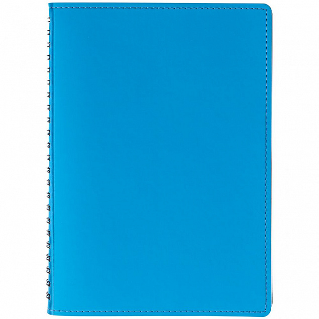 Ежедневник Spring Shall, недатированный, голубой с логотипом в Санкт-Петербурге заказать по выгодной цене в кибермаркете AvroraStore