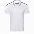 Рубашка поло StanRussian с логотипом в Санкт-Петербурге заказать по выгодной цене в кибермаркете AvroraStore