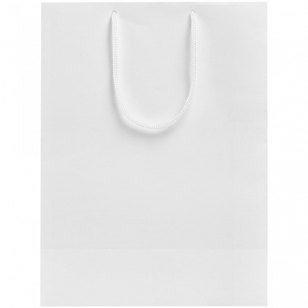 Пакет «Крафт», белый, M с логотипом в Санкт-Петербурге заказать по выгодной цене в кибермаркете AvroraStore