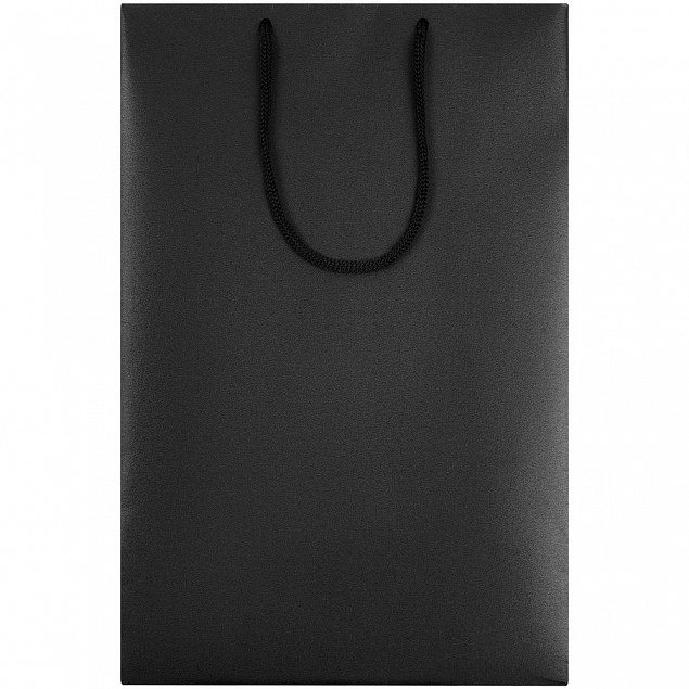 Пакет бумажный «Блеск», средний, черный с логотипом в Санкт-Петербурге заказать по выгодной цене в кибермаркете AvroraStore
