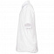 Рубашка мужская с коротким рукавом Collar, белая с логотипом в Санкт-Петербурге заказать по выгодной цене в кибермаркете AvroraStore